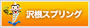 SAWANE SPRING WEB
